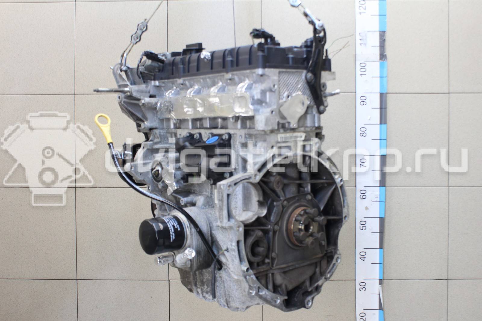 Фото Контрактный (б/у) двигатель CT для Volkswagen / Ford (Changan) 110 л.с 16V 1.5 л бензин 1752082 {forloop.counter}}