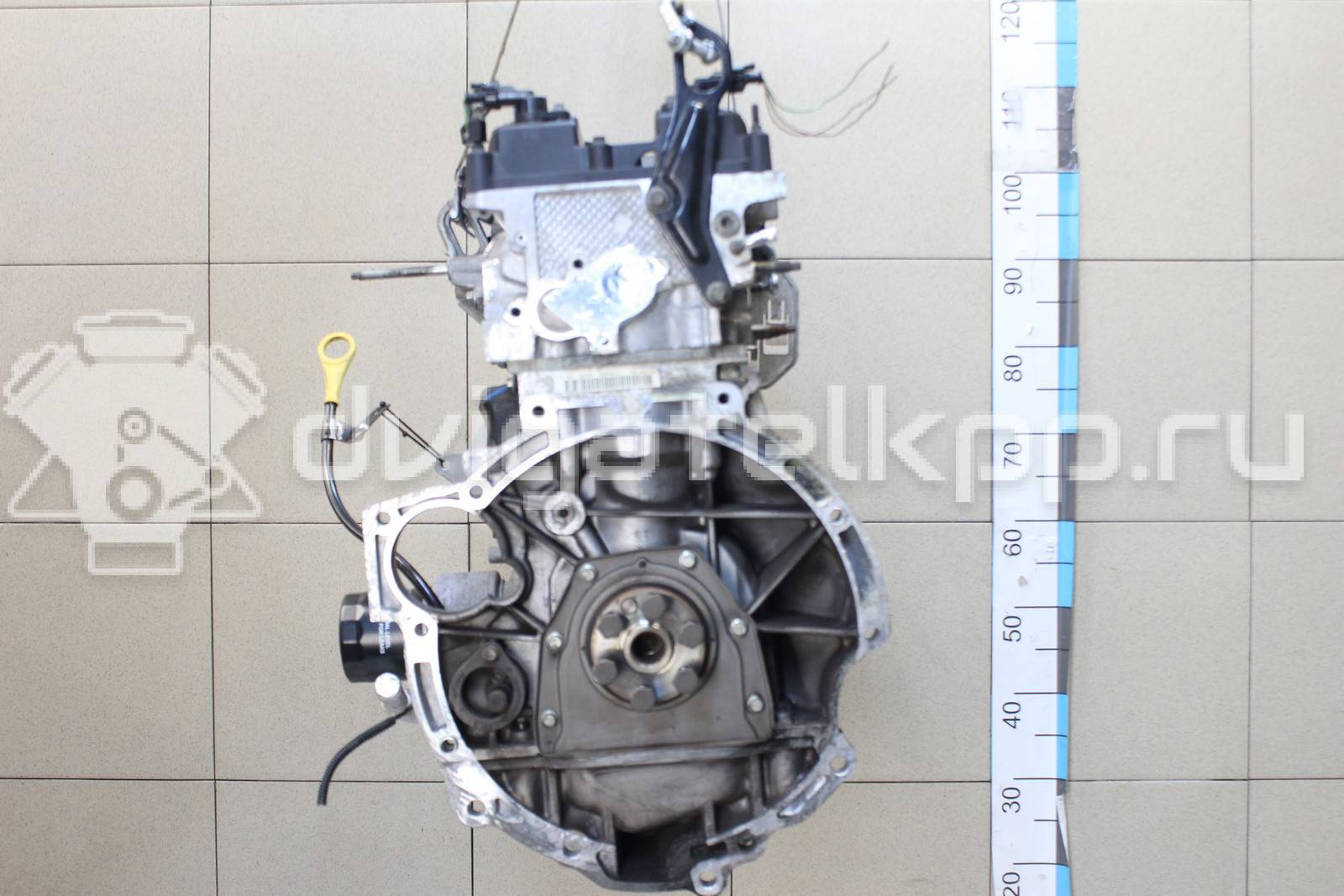 Фото Контрактный (б/у) двигатель PNDA для Ford / Ford Australia 125 л.с 16V 1.6 л бензин 1752082 {forloop.counter}}