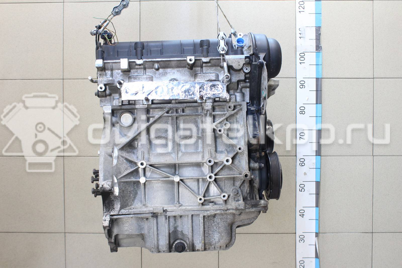 Фото Контрактный (б/у) двигатель PNDA для Ford / Ford Australia 125 л.с 16V 1.6 л бензин 1752082 {forloop.counter}}