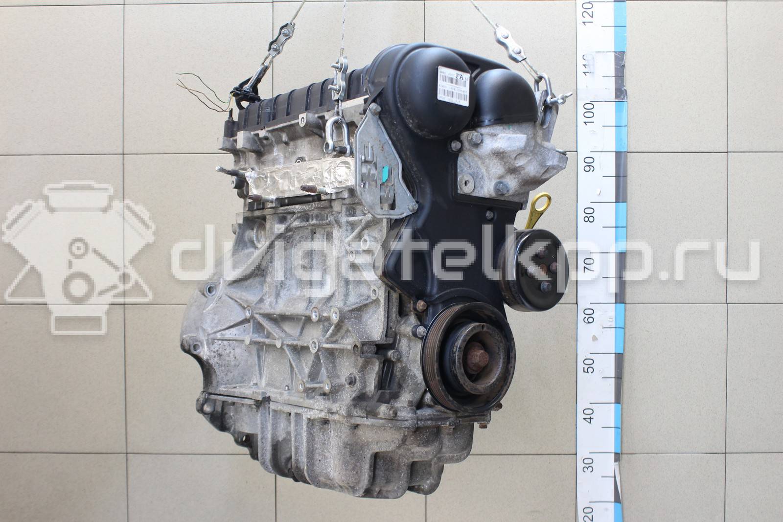 Фото Контрактный (б/у) двигатель PNDA для Ford / Ford Australia 125 л.с 16V 1.6 л бензин 1752082 {forloop.counter}}