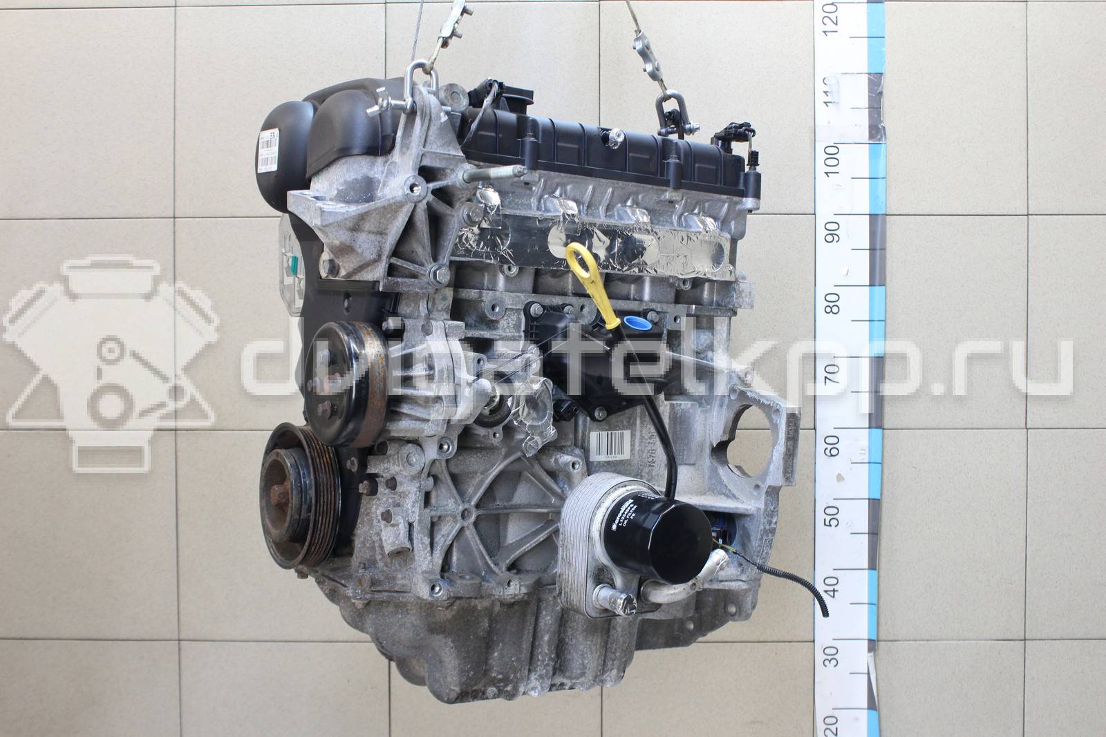 Фото Контрактный (б/у) двигатель PNDA для Ford / Ford Australia 125 л.с 16V 1.6 л бензин 1752082 {forloop.counter}}