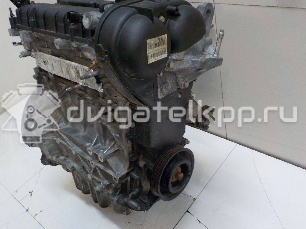 Фото Контрактный (б/у) двигатель PNDA для Ford / Ford Australia 125 л.с 16V 1.6 л бензин 1752082 {forloop.counter}}