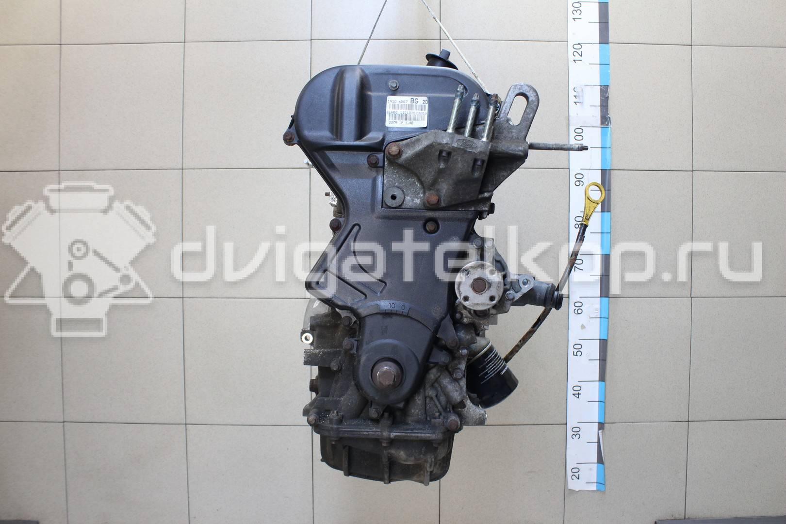 Фото Контрактный (б/у) двигатель FXJB для Ford Fiesta 80 л.с 16V 1.4 л бензин 1734722 {forloop.counter}}