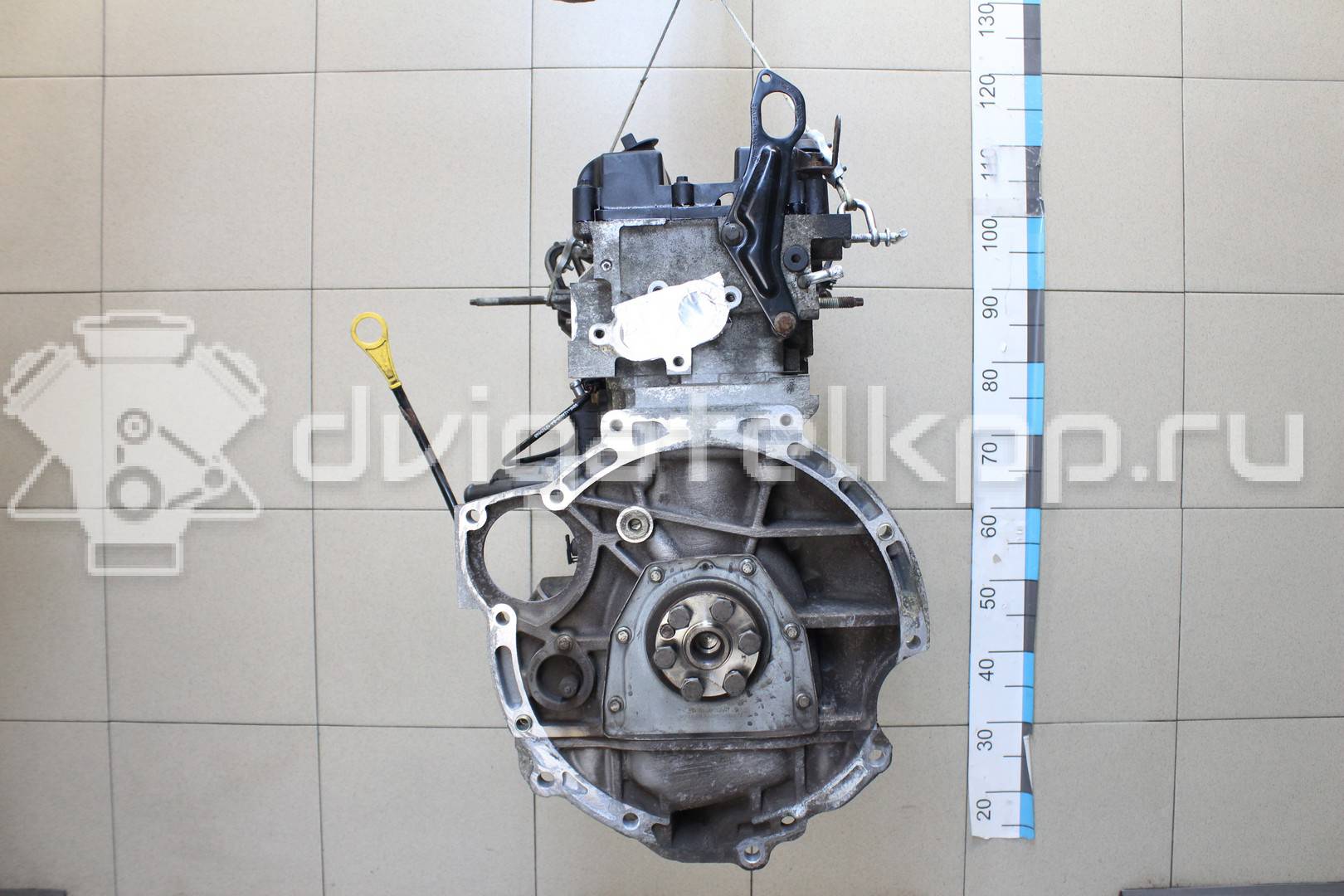Фото Контрактный (б/у) двигатель FXJB для Ford Fiesta 80 л.с 16V 1.4 л бензин 1734722 {forloop.counter}}
