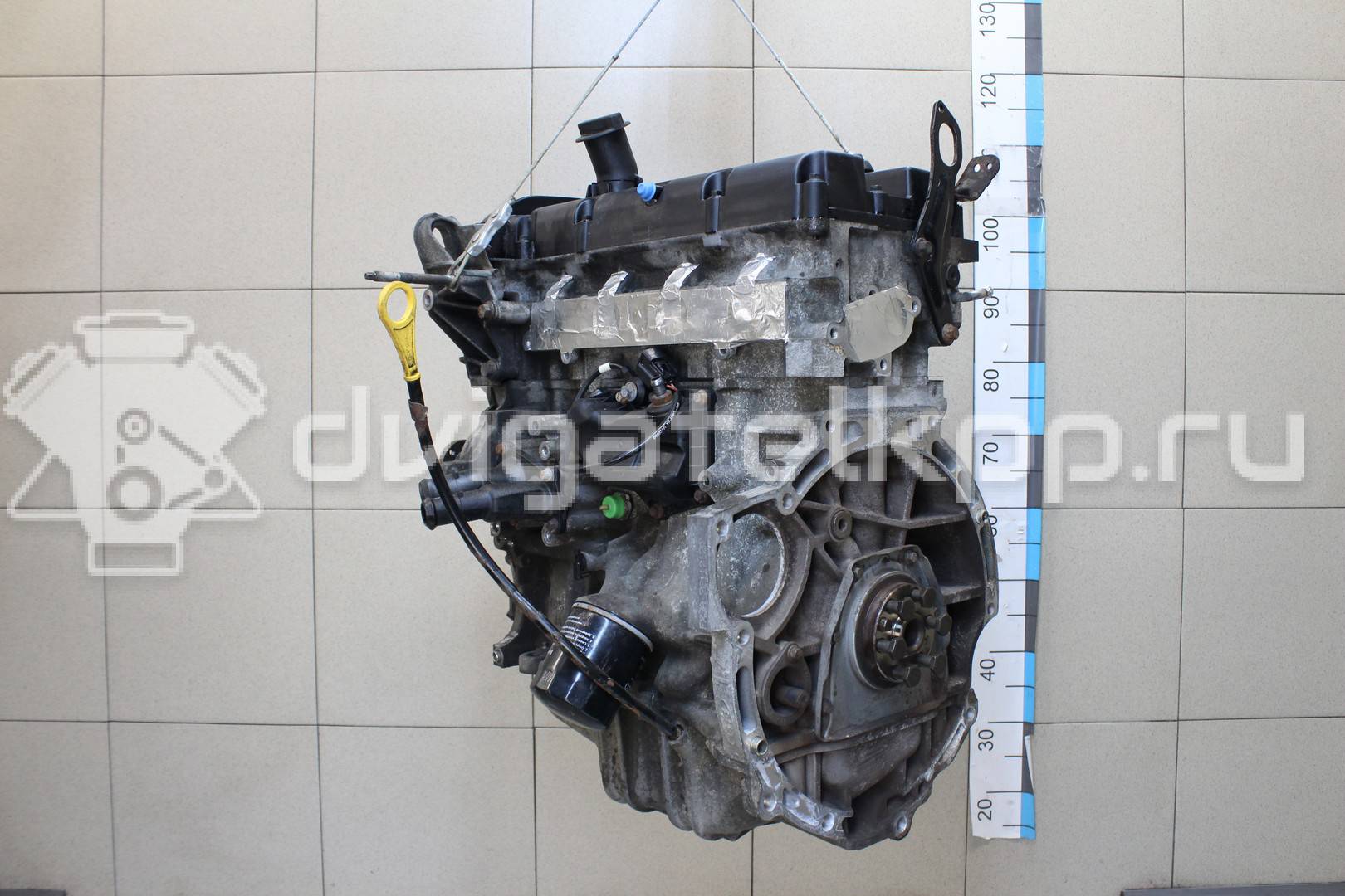 Фото Контрактный (б/у) двигатель FXJB для Ford Fiesta 80 л.с 16V 1.4 л бензин 1734722 {forloop.counter}}
