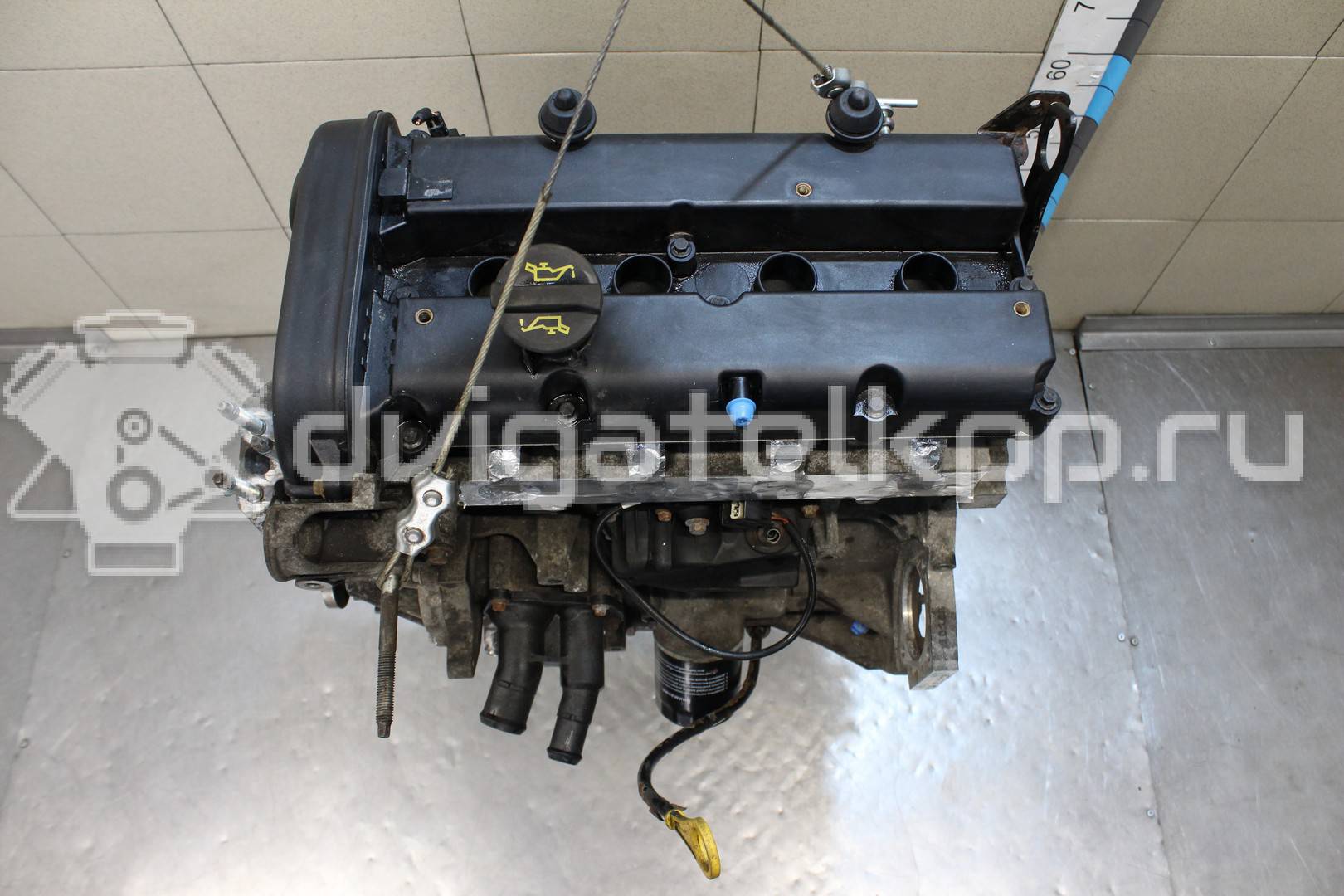 Фото Контрактный (б/у) двигатель FXJB для Ford Fiesta 80 л.с 16V 1.4 л бензин 1734722 {forloop.counter}}
