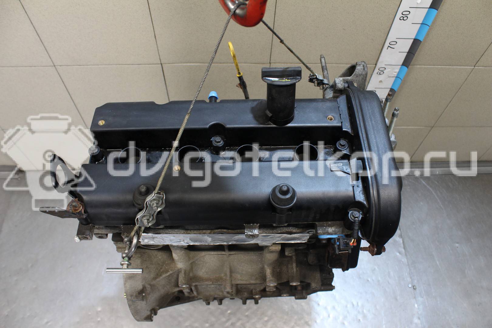 Фото Контрактный (б/у) двигатель FXJB для Ford Fiesta 80 л.с 16V 1.4 л бензин 1734722 {forloop.counter}}