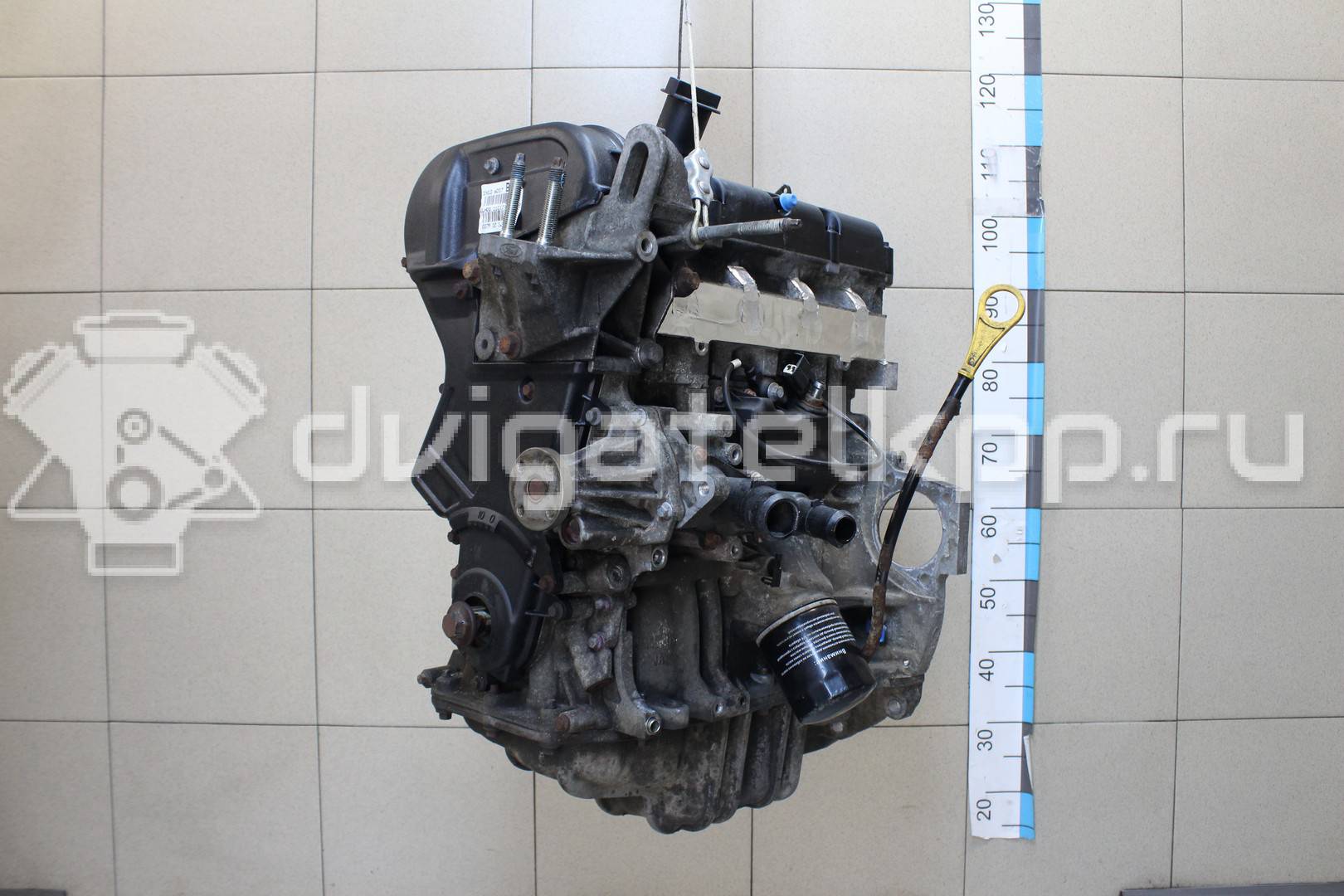 Фото Контрактный (б/у) двигатель XMJA для Ford Fiesta 65 л.с 12V 1.0 л бензин 1734722 {forloop.counter}}