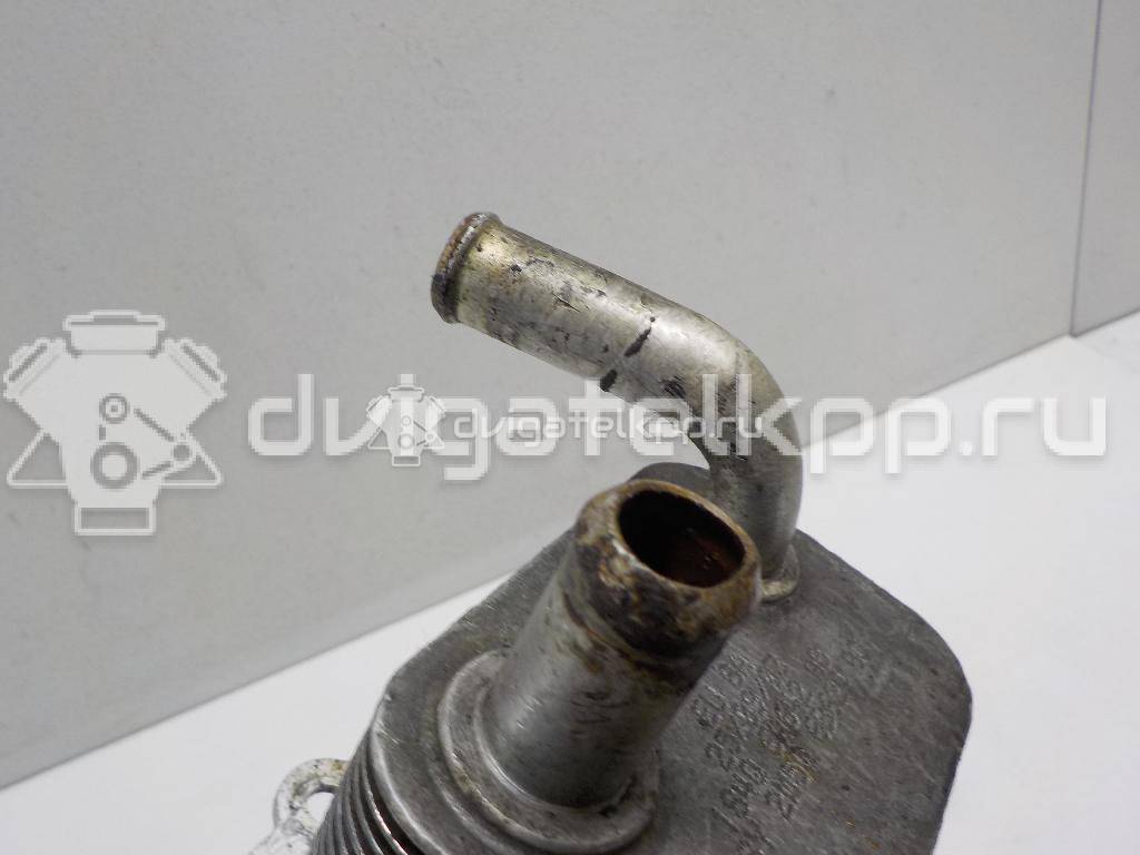 Фото Радиатор масляный  1405017 для Ford Fiesta / Focus / Tourneo / Transit {forloop.counter}}