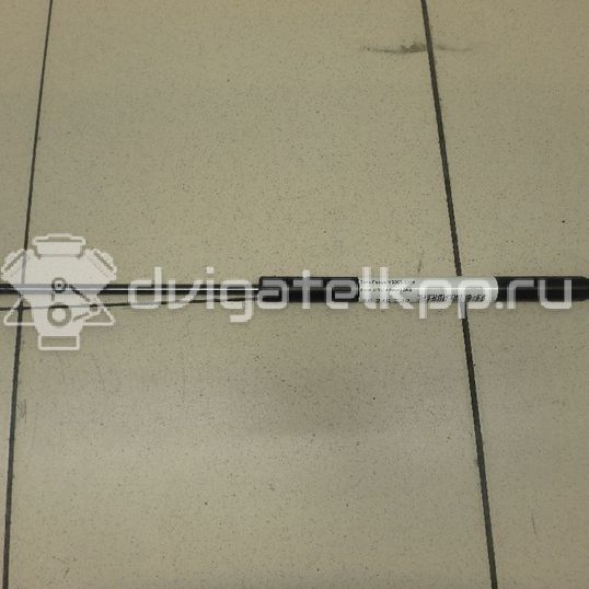 Фото Амортизатор двери багажника  4M51A406A10AB для Ford Focus / Sierra