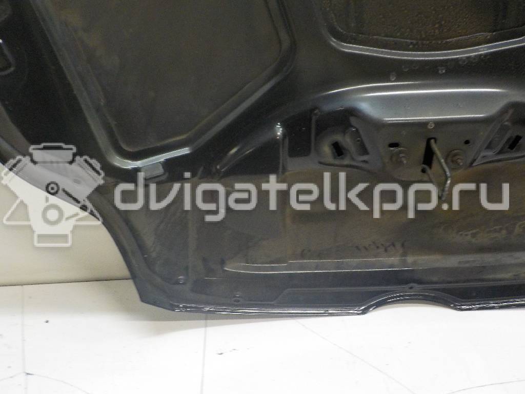 Фото Капот  1797477 для Ford Focus {forloop.counter}}