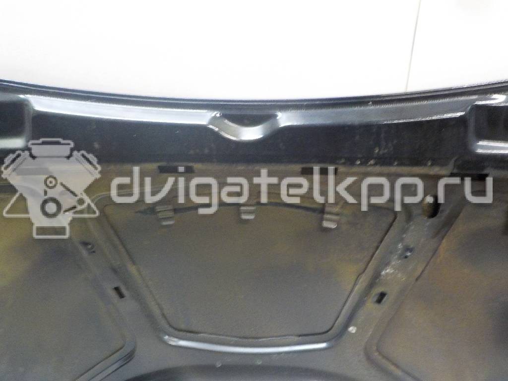 Фото Капот  1797477 для Ford Focus {forloop.counter}}