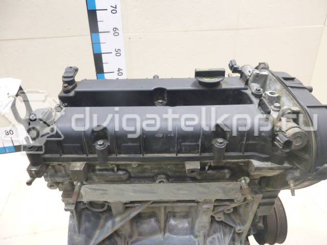 Фото Контрактный (б/у) двигатель PNDA для Ford Australia Focus 125 л.с 16V 1.6 л бензин 1727626 {forloop.counter}}
