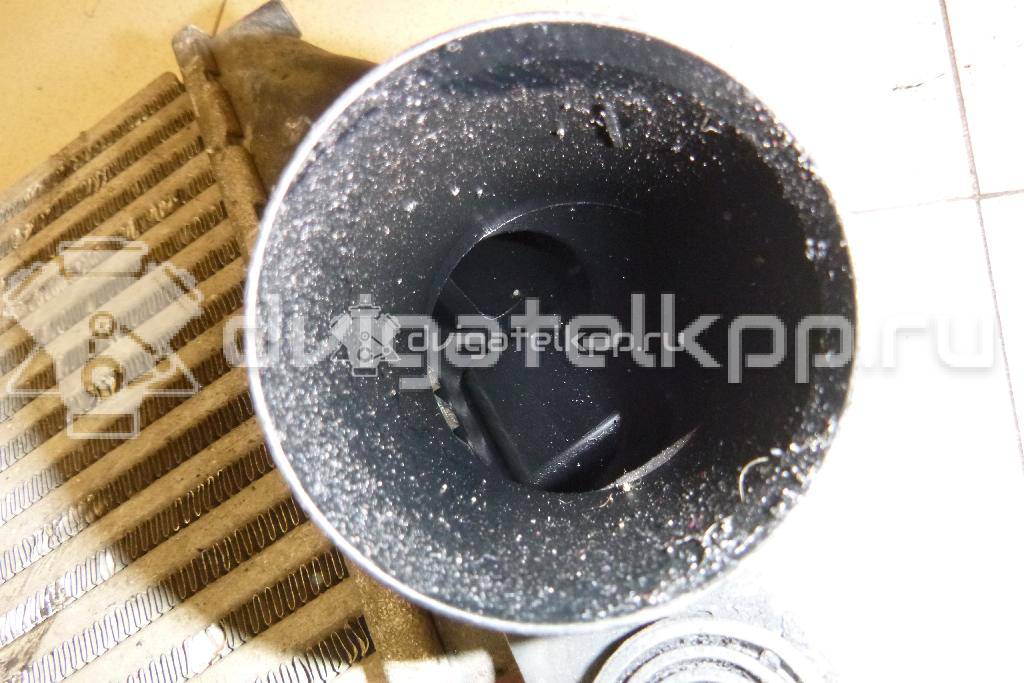 Фото Интеркулер  1J0145803S для Seat Leon / Toledo {forloop.counter}}