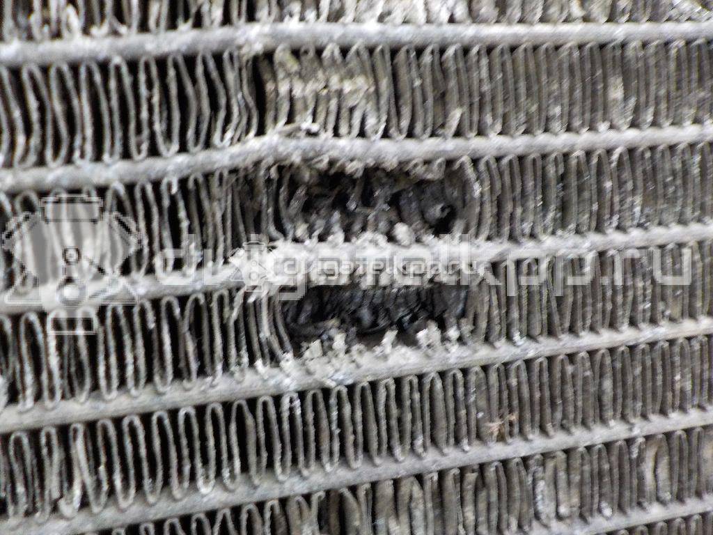 Фото Радиатор основной  1c1h8005ge для Ford Transit {forloop.counter}}