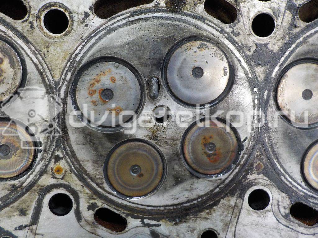Фото Головка блока  1701911 для Ford Transit {forloop.counter}}