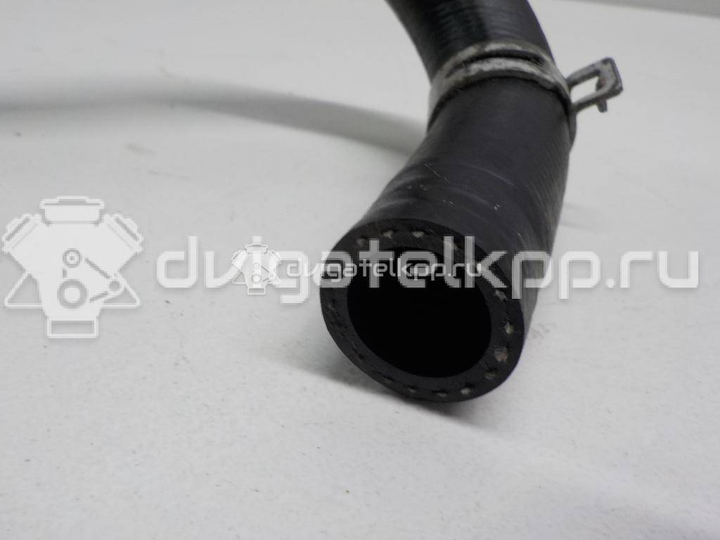 Фото Шланг гидроусилителя  2t143691ac для Ford Tourneo / Transit {forloop.counter}}