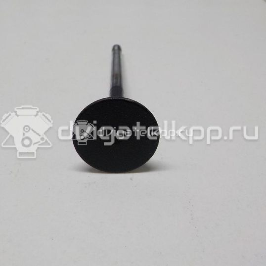 Фото Клапан выпускной  06D109611H для Seat Leon / Toledo / Alhambra / Altea / Exeo