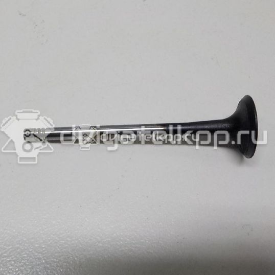 Фото Клапан выпускной  06D109611H для Seat Leon / Toledo / Alhambra / Altea / Exeo