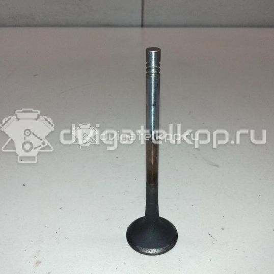 Фото Клапан выпускной  06D109611H для Seat Leon / Toledo / Alhambra / Altea / Exeo