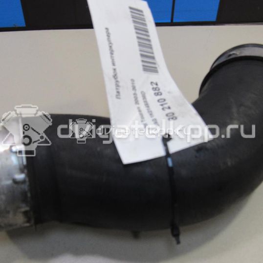 Фото Патрубок интеркулера  1K0145838D для Seat Leon / Toledo / Altea