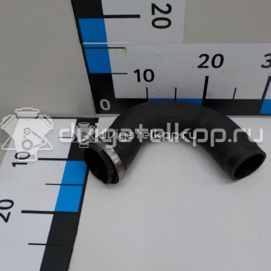 Фото Патрубок интеркулера  1k0145834ap для Seat Leon / Altea