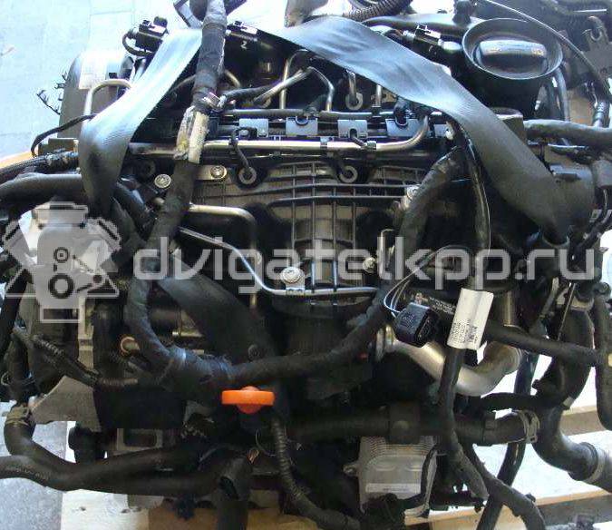 Фото Контрактный (б/у) двигатель CAYD для Volkswagen Caddy 102 л.с 16V 1.6 л Дизельное топливо {forloop.counter}}