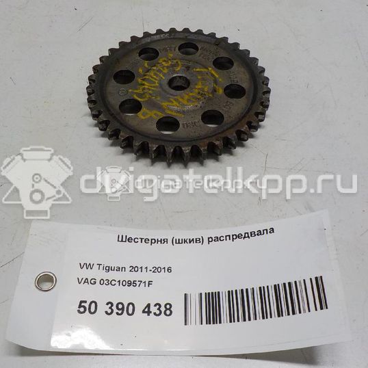 Фото Шестерня (шкив) распредвала  03c109571f для Seat Ibiza / Cordoba / Leon / Toledo / Altea