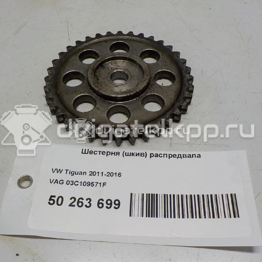 Фото Шестерня (шкив) распредвала  03c109571f для Seat Ibiza / Cordoba / Leon / Toledo / Altea