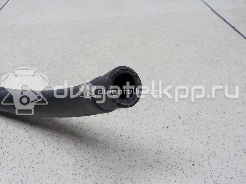 Фото Шланг гидроусилителя  8D0422891C для skoda Superb {forloop.counter}}