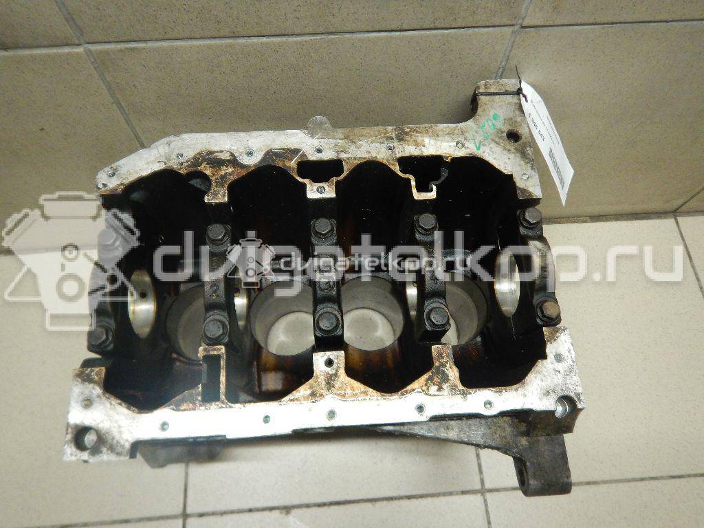 Фото Блок двигателя  для Skoda Octavia / Octaviaii 1Z3 {forloop.counter}}