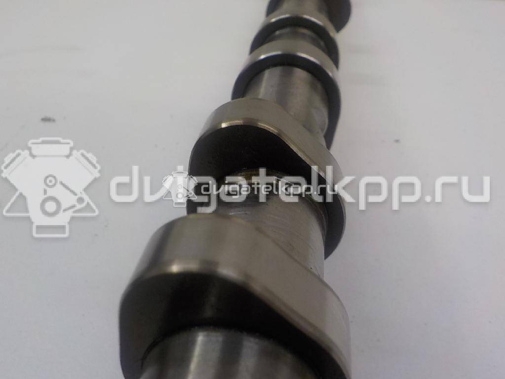 Фото Распредвал выпускной  06H109022BB для Volkswagen Jetta {forloop.counter}}