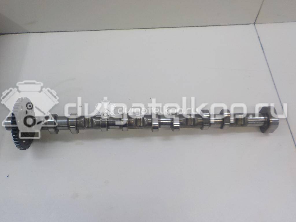 Фото Распредвал выпускной  06H109022BB для Volkswagen Jetta {forloop.counter}}