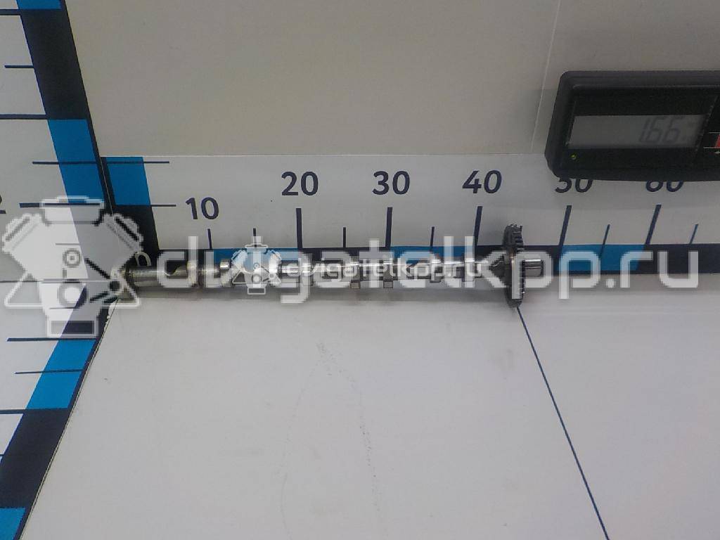 Фото Распредвал выпускной  06H109022BB для Volkswagen Jetta {forloop.counter}}
