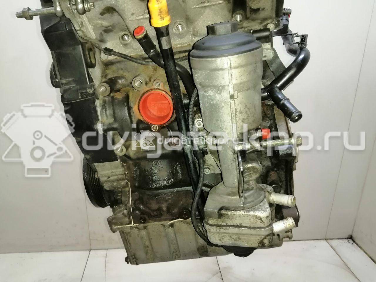 Фото Контрактный (б/у) двигатель BNM для Volkswagen Fox 5Z1, 5Z3 70 л.с 6V 1.4 л Дизельное топливо 045100098BX {forloop.counter}}