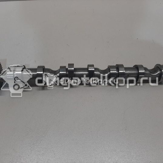 Фото Распредвал выпускной  059109009bl для audi A4 [B7]