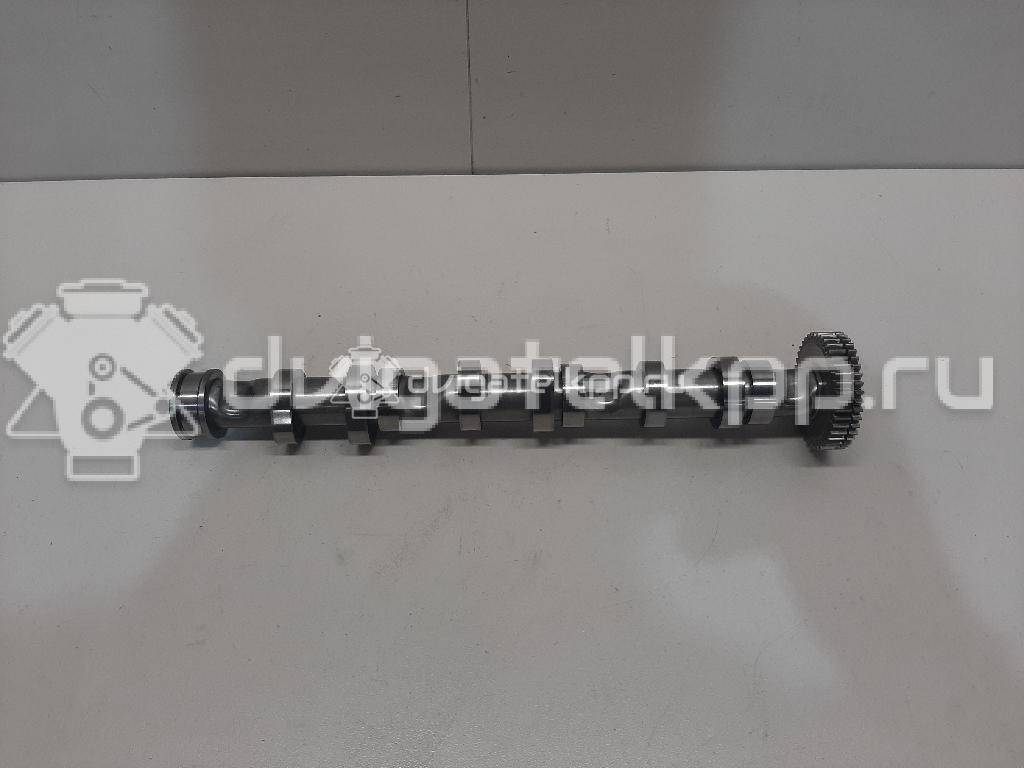 Фото Распредвал выпускной  059109009bl для audi A4 [B7] {forloop.counter}}