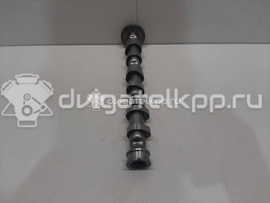 Фото Распредвал выпускной  059109009bl для audi A4 [B7] {forloop.counter}}