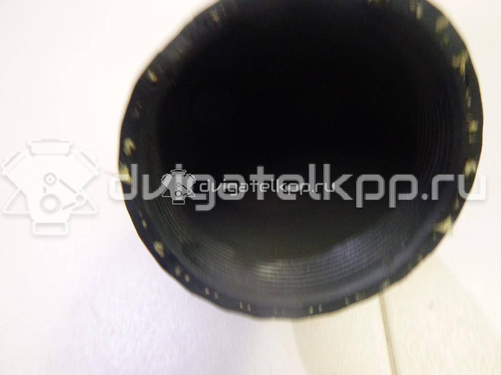 Фото Патрубок интеркулера  1k0145838ag для Skoda Octavia / Yeti 5L / Octaviaii 1Z3 / Superb {forloop.counter}}