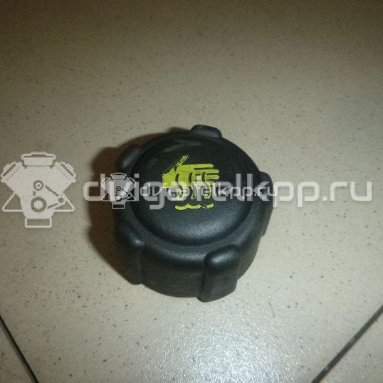 Фото Крышка расширительного бачка  8200048024 для Suzuki Jimny / Grand Vitara