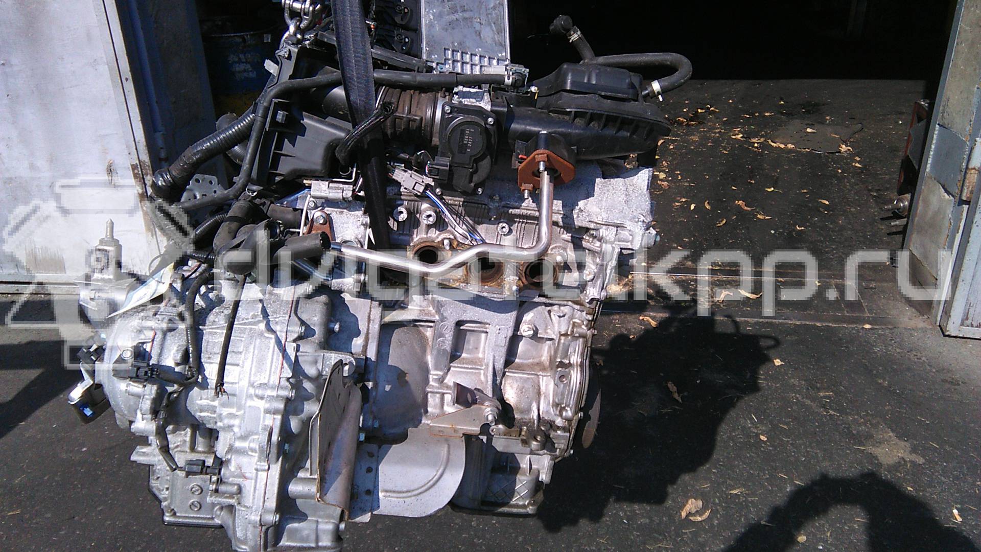 Фото Контрактный (б/у) двигатель HR12DE для Nissan Note / Micra 68-80 л.с 12V 1.2 л Бензин/газ {forloop.counter}}