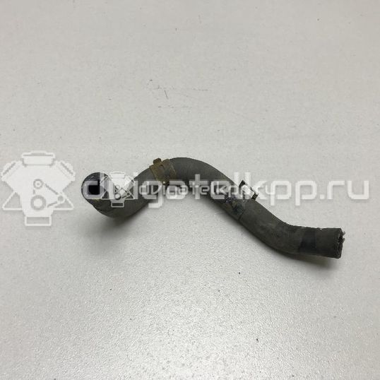 Фото Шланг системы охлаждения  1k0121447ad для audi A3 [8P1]