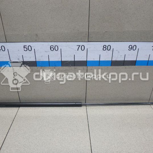 Фото Амортизатор капота  8T0823359 для Audi A5 / A4