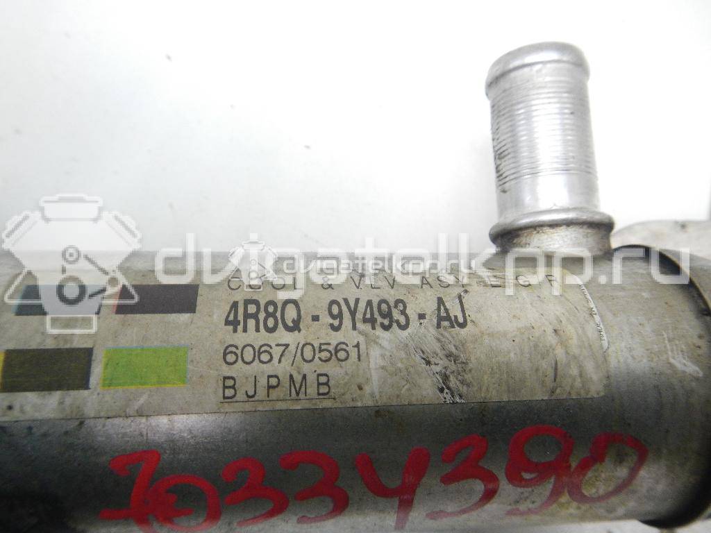 Фото Клапан рециркуляции выхлопных газов  wav500210 для Citroen C6 Td / C5 {forloop.counter}}