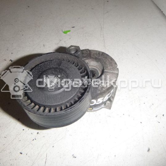 Фото Натяжитель ремня  8200460446 для mercedes benz A180/200/250 W176