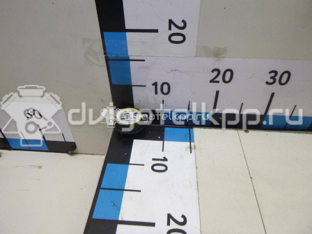 Фото Крышка расширительного бачка  3M5H8100AD для Ford Fiesta / Focus / Tourneo / C-Max / Ka {forloop.counter}}