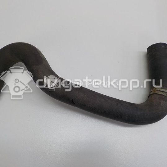 Фото Патрубок радиатора  1705463 для Ford Fiesta / B-Max Jk