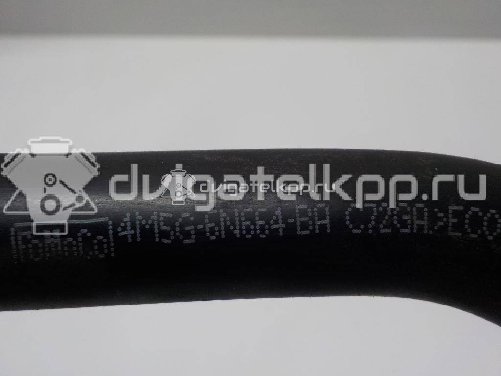 Фото Шланг вентиляции картер. газов  1747173 для Ford Fiesta / Focus / C-Max / Fusion Ju {forloop.counter}}