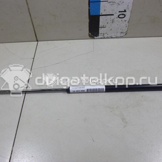 Фото Амортизатор двери багажника  3M51R406A10AB для Ford Focus / C-Max