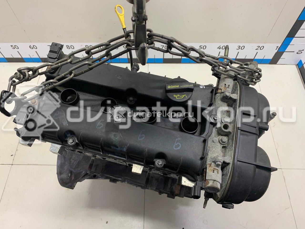 Фото Контрактный (б/у) двигатель PNDA для Ford / Ford Australia 125 л.с 16V 1.6 л бензин 1752082 {forloop.counter}}